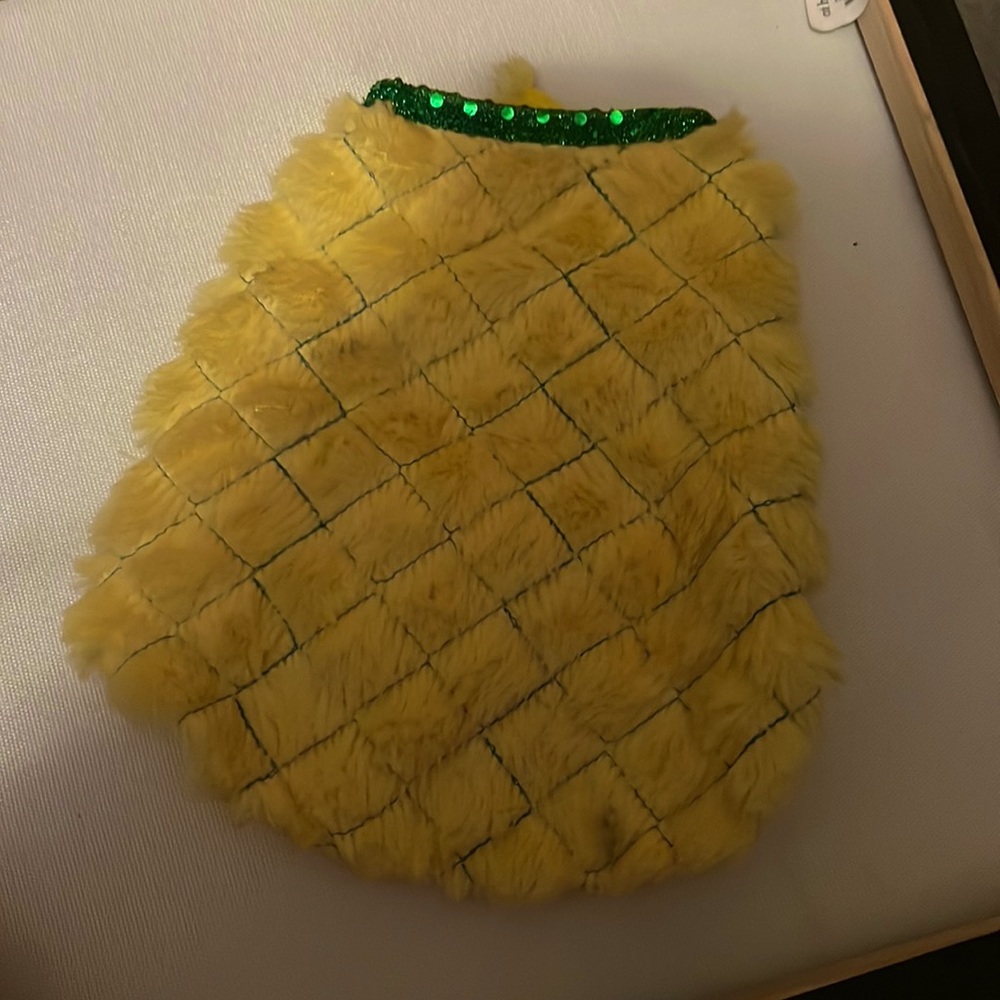 Pineapple Guinea Pig Costume